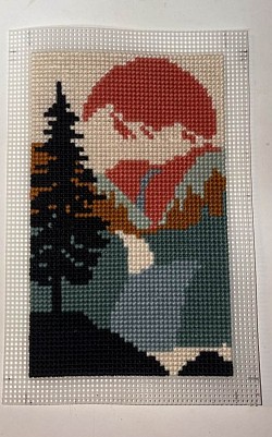 River Scene on 10 Count Canvas