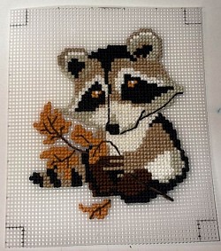 Raccoon on 10 Count Canvas