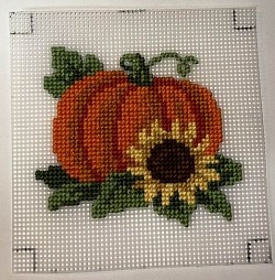 Pumpkin on 10 Count Canvas