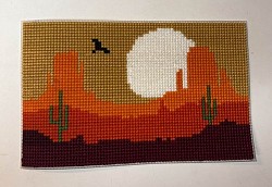 Desert Scene on 10 Count Canvas