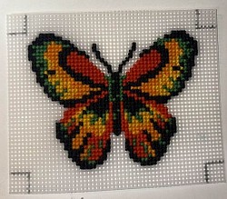 Butterfly on 10 Count Canvas